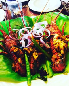 Kerala-Poovar Island-lobster
