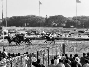 horse race-India