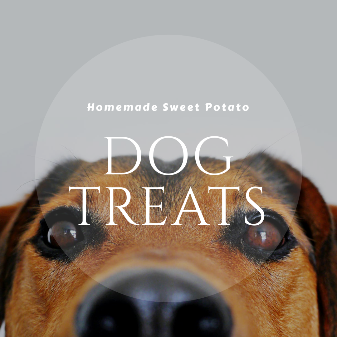 Homemade dog treats