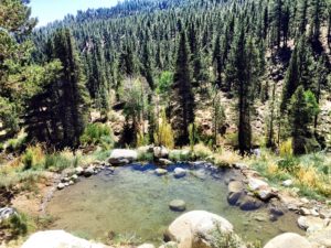 Carson Valley day spas