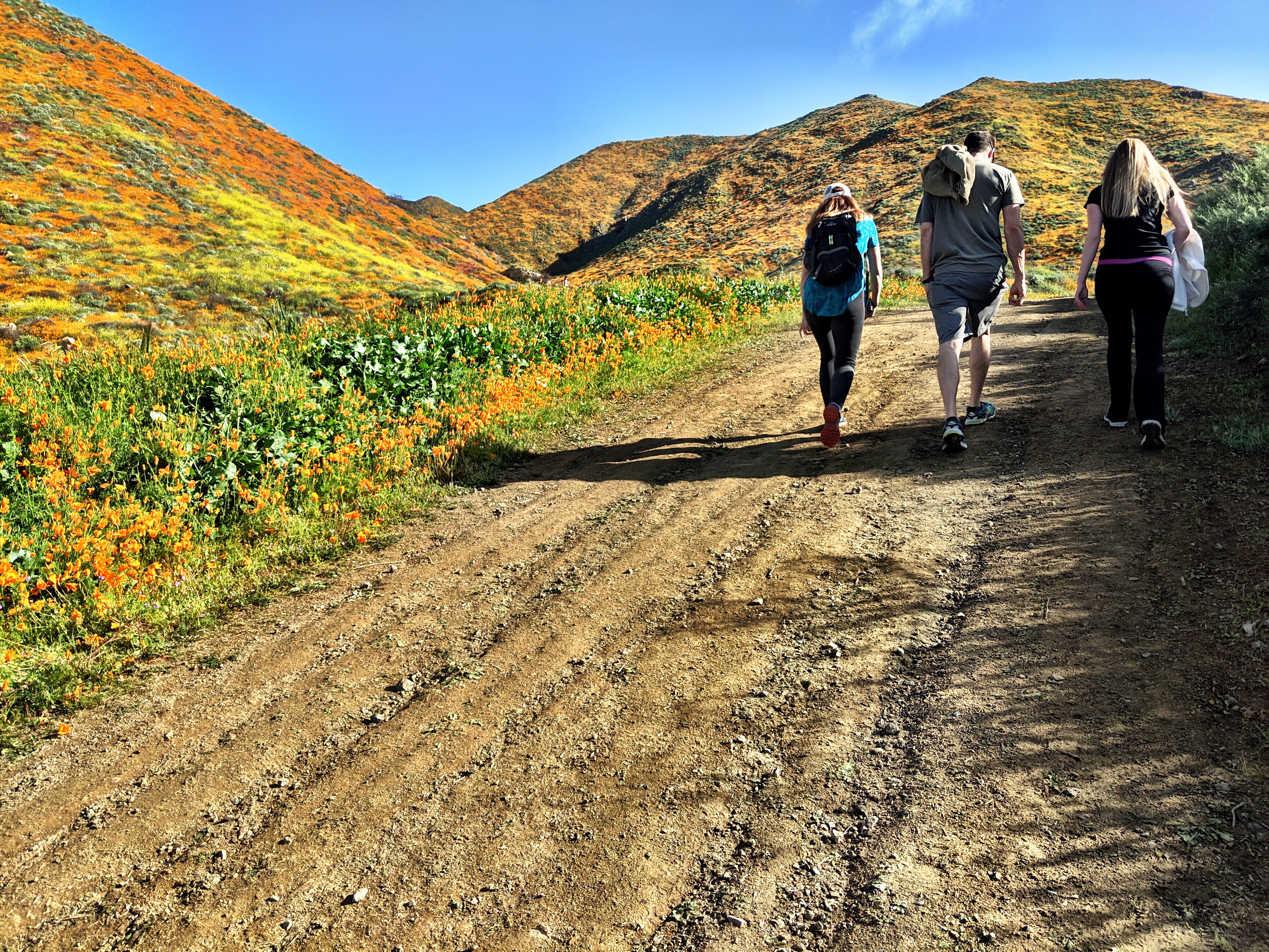 super bloom