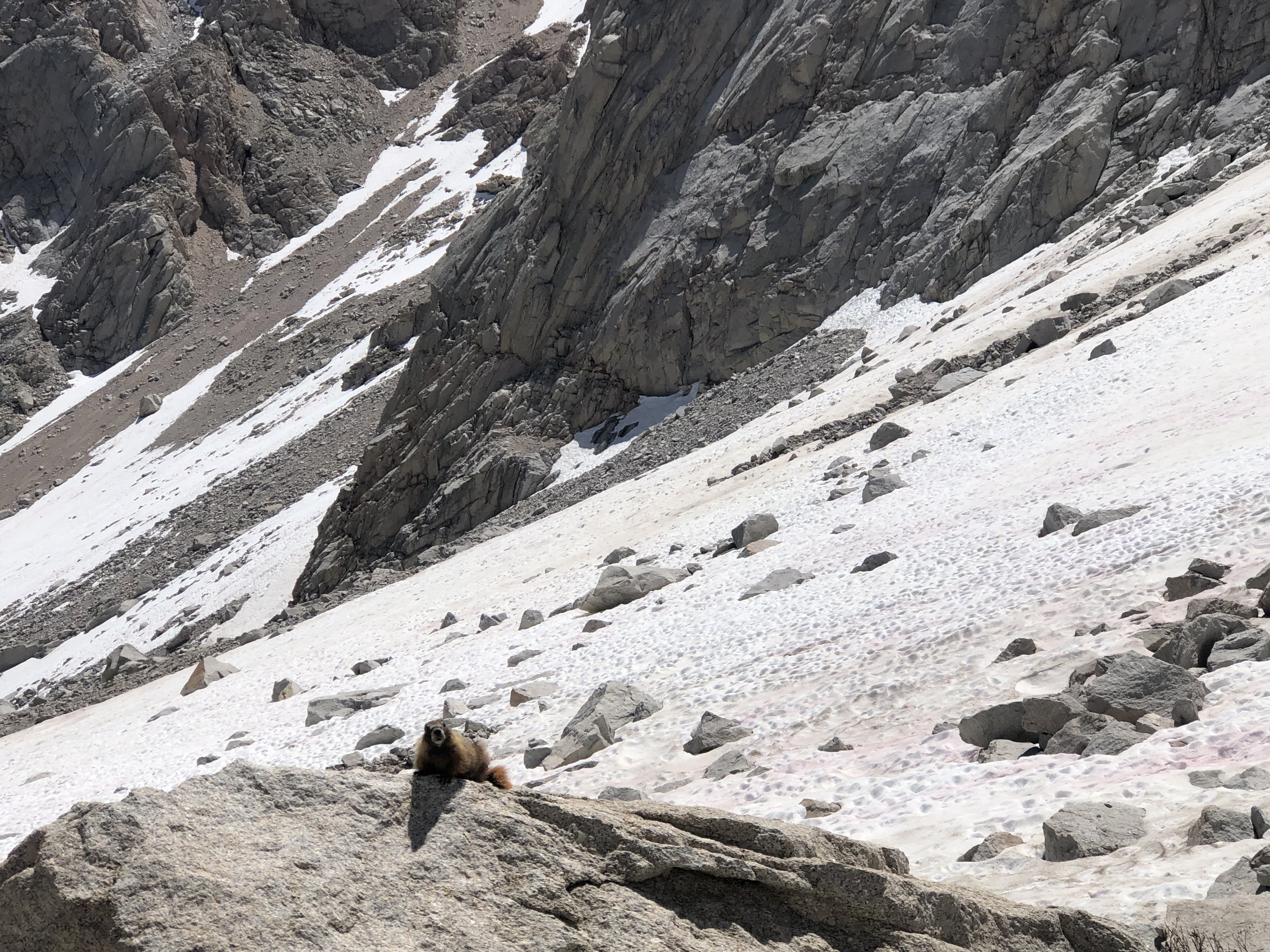 Mt Whitney