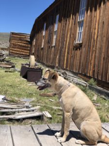 Bodie State Historic Park,