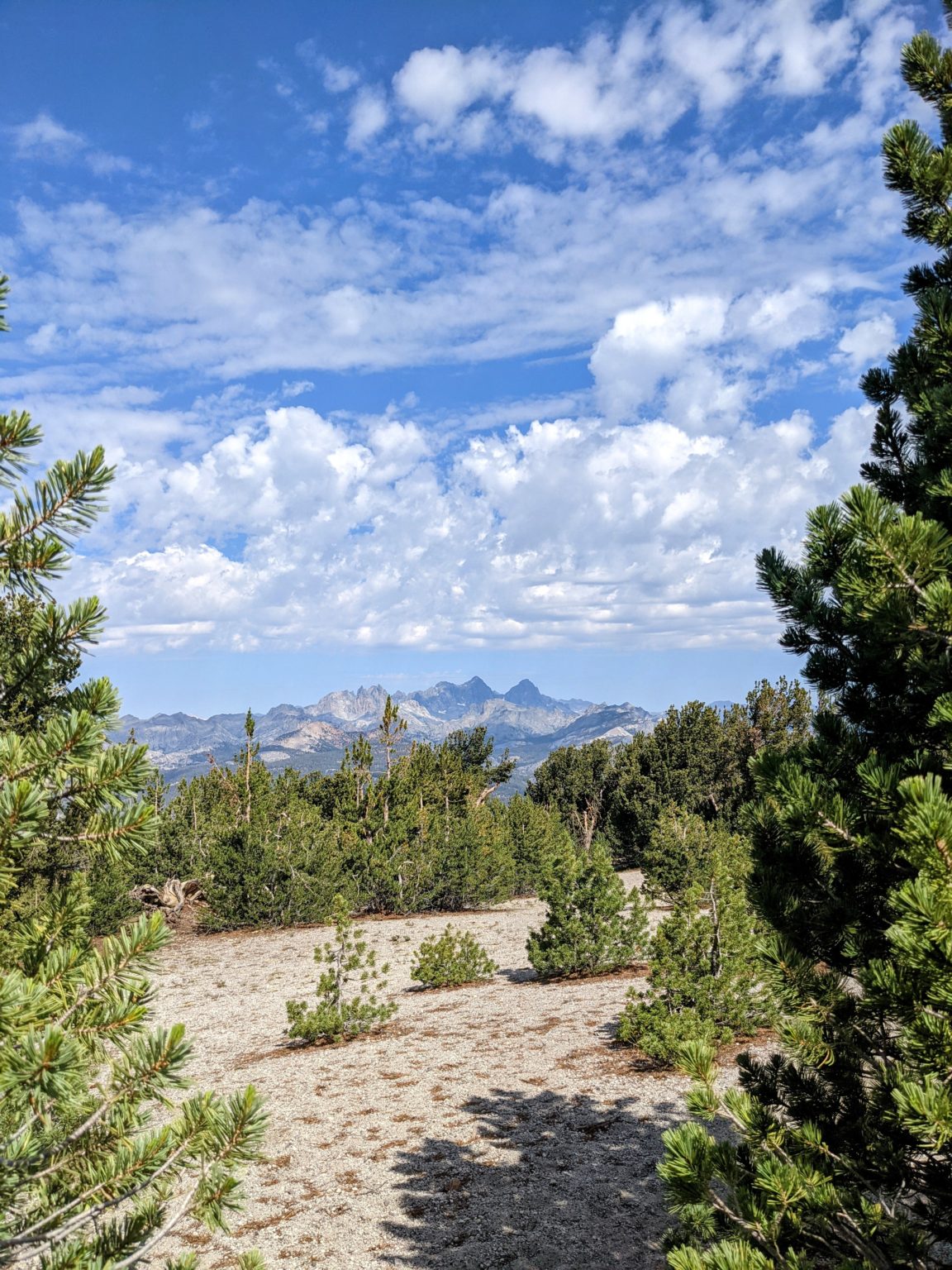 Eastern Sierras Adventures at Mammoth Crest Rim Trail