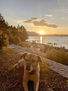 Lake Tahoe