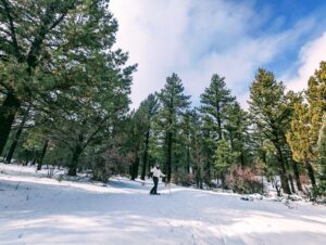 Snowshoeing Big Bear Lake