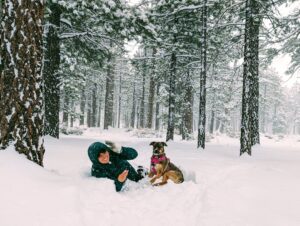 southern California blizzard