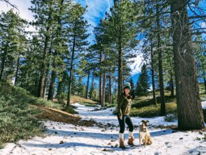 Big Bear's wild donkeys