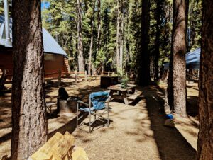 camping in bear country
